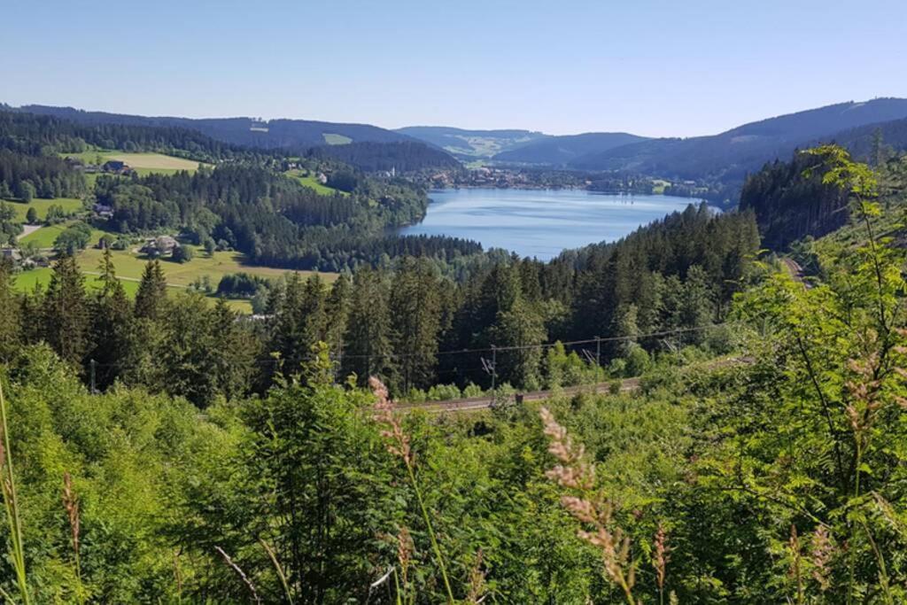 Black Forest Schwarzwaldblick Indoorpool Wifi Natur Komfort Hoechenschwand Bagian luar foto